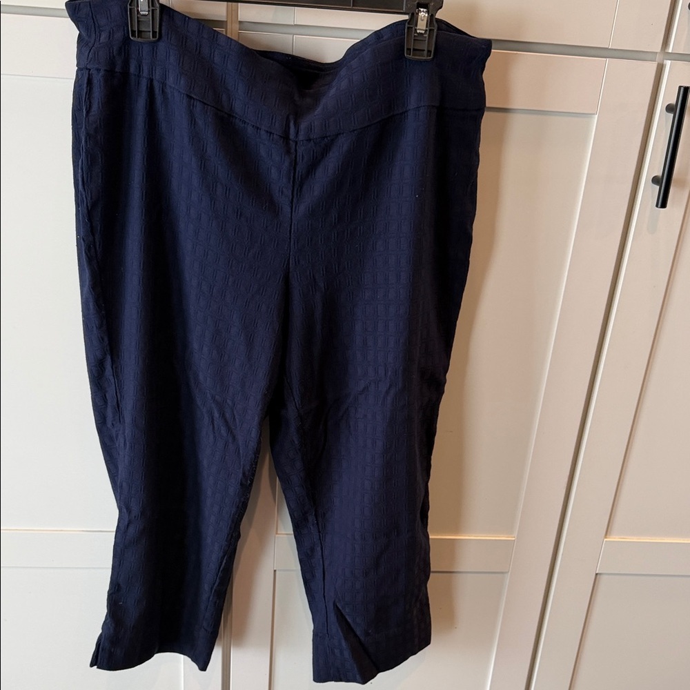 Roz & Ali Navy Women's Textured Capris